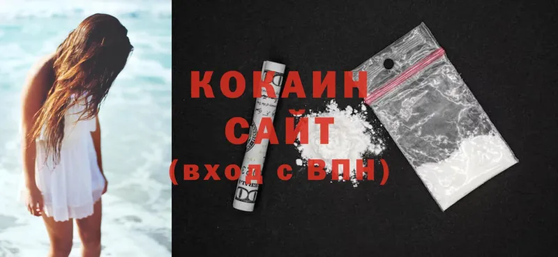 COCAIN Fish Scale  где купить наркоту  Кулебаки 